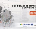 PEQUENAS E MÉDIAS EMPRESAS EM REDE DE EMPREENDEDORISMO E INOVAÇÃO