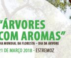 Estremoz: PROJETO “ÁRVORES COM AROMAS”