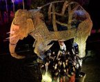 Évora: A Viagem do Elefante” é um espetáculo de Teatro de Rua