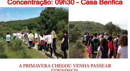 Passeio Primavera Casa Benfica Elvas