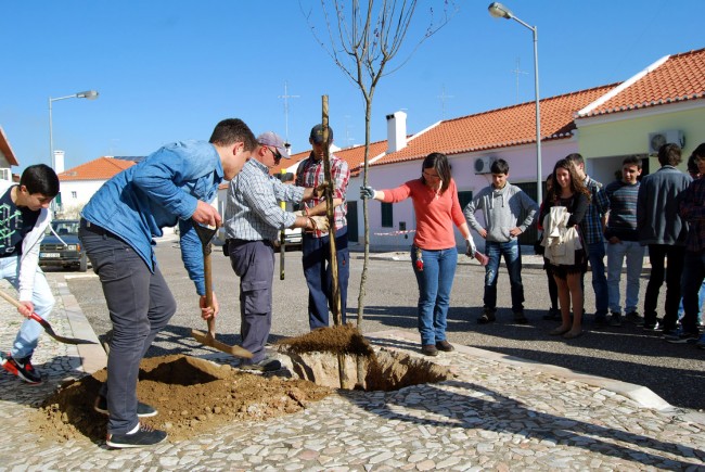 Plantacao_de_arvores