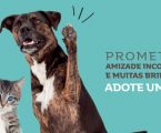 Projeto do Intermarché apoia Instituições de adoção de animal a nível nacional