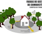 Proprietários têm mais tempo para limpar os terrenos