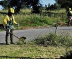 Grândola: Limpeza das faixas de gestão de combustível continua ser prioridade do Executivo Municipal