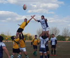 RC Elvas resultados fim de semana