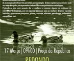 Redondo: Observação de Aves