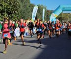UTSG – a prova de trail que dá a conhecer o melhor dos trilhos da Serra de Grândola