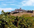 Vinhos de Estremoz premiados no International Wine Challenge