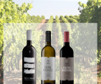 Vinhos de Sousel com críticas muito positivas na imprensa