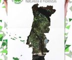 Elvas: Voluntariado Jovem para a Natureza e Florestas com candidaturas