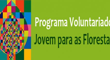 Voluntariado Jovem para a Natureza e Florestas com candidaturas