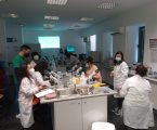 Mestrado em Enfermagem Veterinária teve início no Politécnico de Portalegre