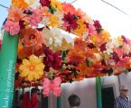 As Festas do Povo de Campo Maior: um mar de flores e cores que enche as ruas de alegria, tradição e encanto.