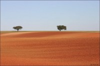 alentejo_gra