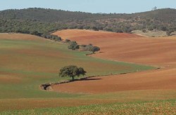 alentejo_paisagem
