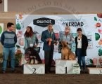 Concurso e Monográfica do Cão da Serra de Aires decorreu em Alter do Chão