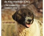 ARRONCHES: 27ª EXPOSIÇÃO CANINA NACIONAL DO ALTO ALENTEJO (CAC)