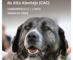 ARRONCHES : 28ª EXPOSIÇÃO CANINA NACIONAL DO ALTO ALENTEJO (CAC)