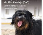 Arronches: 29.ª EXPOSIÇÃO CANINA NACIONAL DO ALTO ALENTEJO (CAC)