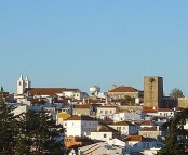 avis_foto_wikipedia3