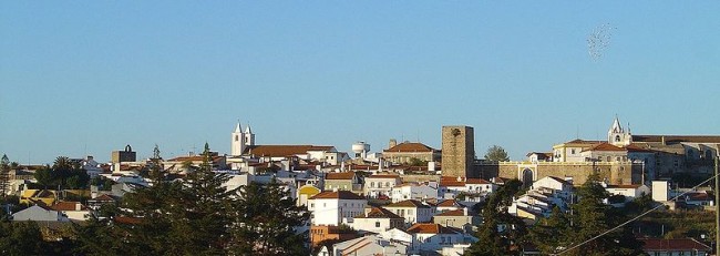 avis_foto_wikipedia