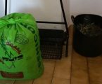 GNR detém dois indivíduos em Sousel por furto de azeitona