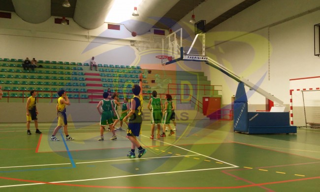 basquetes-o-elvas