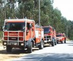 Évora: Comissão Municipal de Defesa da Floresta Contra Incêndios prepara trabalho de prevenção