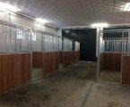 Elvas: Mais boxes no Centro de Animação e Formação Equestre