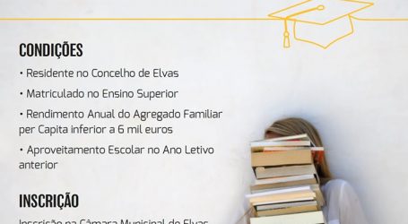 Elvas: Candidaturas abertas para bolsas de estudo do ensino superior