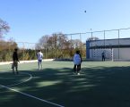 Câmara substituiu balizas e tabelas em pavilhões e polidesportivos