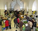 Câmara de Elvas encerra Mercado Municipal