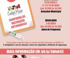 Campo Maior: Campanha de Vacinação Antirrábica e Identificação Eletrónica