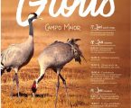 Campo Maior: Segunda edição do «festival dos Grous»