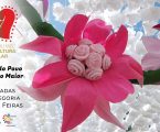 As Festas do Povo de Campo Maior integram a lista de nomeados da iniciativa 7 Maravilhas da Cultura Popular