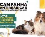 Elvas: Campanha de vacinação antirábica arranca a 20 de outubro