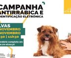 Elvas: Campanha de vacinação antirrábica inicia dia 2