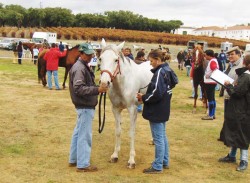 Foto arquivo