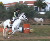 cavalos_saltos