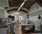Alentejo 2020 aprova 4 milhões de euros, de F.S.E. (Fundo Social Europeu)