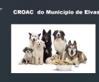 Elvas: Vereadora Tânia Rico vota contra requalificação do “CROAC”