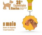 Exposição Canina Internacional reúne mais de quatro centenas de exemplares