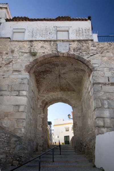 C_M_ELVAS