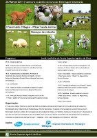 Cartaz oficial - clique p/ampliar