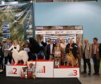 Centenas de cães e criadores em Elvas em mais uma exposição canina