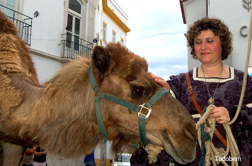 Vice-Presidente Elsa Grilo