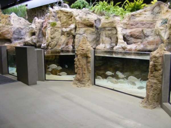 fluviario_mora Fluviario