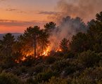 Incêndios: Mais de 100 operacionais e quatro meios aéreos combatem fogo em Odemira