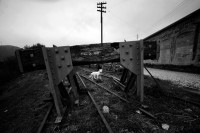 foto_jornalismo_paulo_pimenta