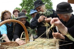 idosos_foto_reg_monsaraz